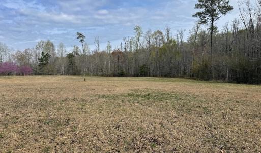Photo #13 of Off Berlin Dory Rd., Sedley, VA 4.2 acres