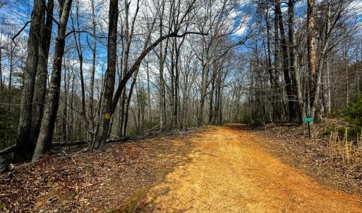 Photo #11 of Off Pole Bridge Road, Stuart , VA 41.2 acres