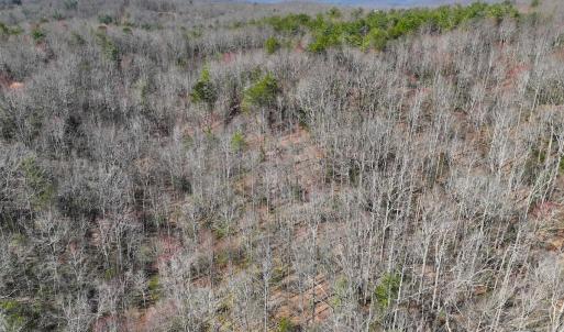 Photo #12 of Off Pole Bridge Road, Stuart , VA 41.2 acres
