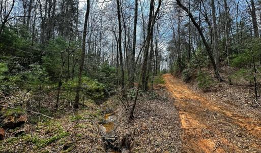 Photo #13 of Off Pole Bridge Road, Stuart , VA 41.2 acres
