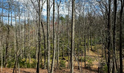 Photo #14 of Off Pole Bridge Road, Stuart , VA 41.2 acres