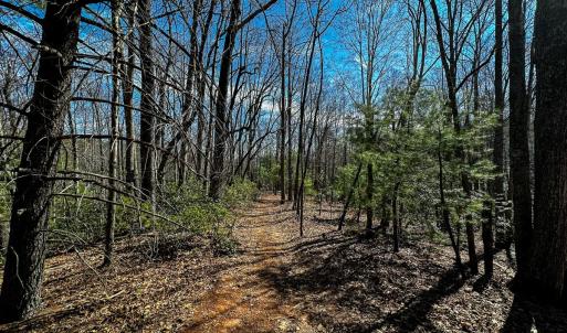 Photo #15 of Off Pole Bridge Road, Stuart , VA 41.2 acres
