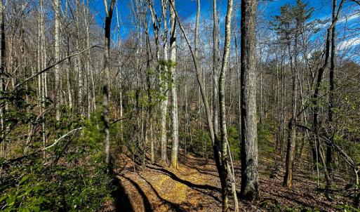 Photo #18 of Off Pole Bridge Road, Stuart , VA 41.2 acres
