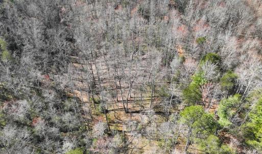 Photo #19 of Off Pole Bridge Road, Stuart , VA 41.2 acres