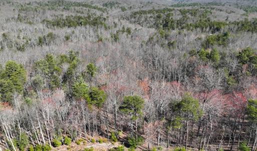 Photo #1 of Off Pole Bridge Road, Stuart , VA 41.2 acres