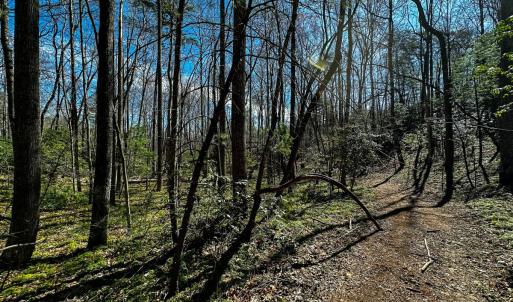 Photo #21 of Off Pole Bridge Road, Stuart , VA 41.2 acres
