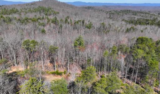 Photo #23 of Off Pole Bridge Road, Stuart , VA 41.2 acres