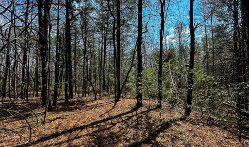 Photo #24 of Off Pole Bridge Road, Stuart , VA 41.2 acres