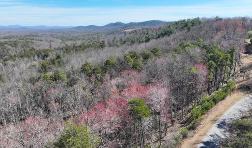 Photo #26 of Off Pole Bridge Road, Stuart , VA 41.2 acres