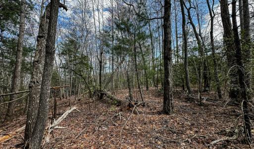 Photo #29 of Off Pole Bridge Road, Stuart , VA 41.2 acres
