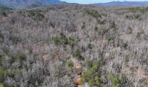 Photo #3 of Off Pole Bridge Road, Stuart , VA 41.2 acres