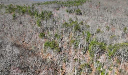 Photo #30 of Off Pole Bridge Road, Stuart , VA 41.2 acres