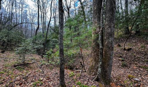 Photo #32 of Off Pole Bridge Road, Stuart , VA 41.2 acres