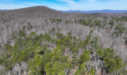 Photo #35 of Off Pole Bridge Road, Stuart , VA 41.2 acres