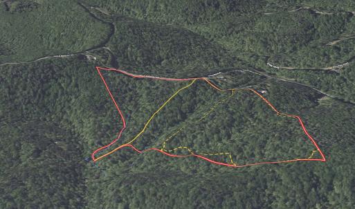 Photo #38 of Off Pole Bridge Road, Stuart , VA 41.2 acres