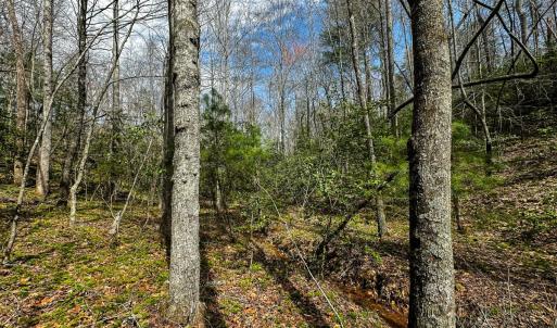 Photo #4 of Off Pole Bridge Road, Stuart , VA 41.2 acres