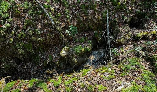 Photo #5 of Off Pole Bridge Road, Stuart , VA 41.2 acres