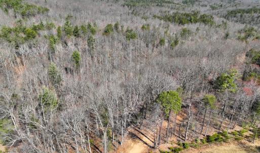 Photo #8 of Off Pole Bridge Road, Stuart , VA 41.2 acres
