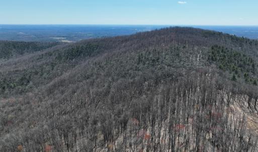 Photo #10 of Off of Blueberry Lane, Stuart, VA 48.1 acres