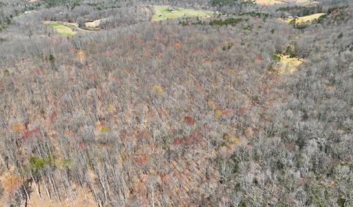 Photo #17 of Off of Blueberry Lane, Stuart, VA 48.1 acres