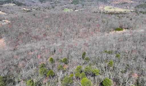 Photo #18 of Off of Blueberry Lane, Stuart, VA 48.1 acres