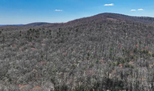 Photo #2 of Off of Blueberry Lane, Stuart, VA 48.1 acres