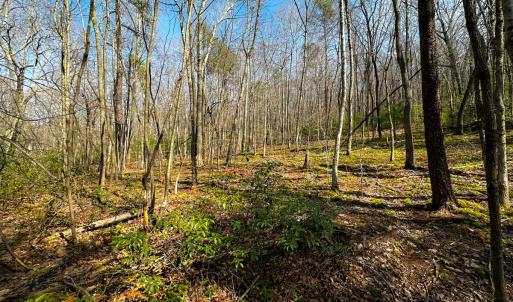 Photo #20 of Off of Blueberry Lane, Stuart, VA 48.1 acres
