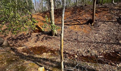 Photo #22 of Off of Blueberry Lane, Stuart, VA 48.1 acres