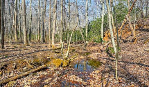 Photo #24 of Off of Blueberry Lane, Stuart, VA 48.1 acres