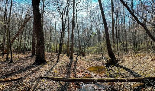 Photo #4 of Off of Blueberry Lane, Stuart, VA 48.1 acres