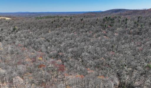 Photo #5 of Off of Blueberry Lane, Stuart, VA 48.1 acres