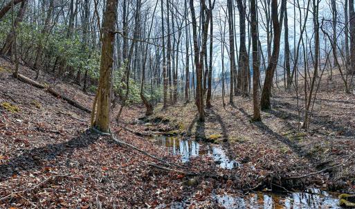 Photo #6 of Off of Blueberry Lane, Stuart, VA 48.1 acres