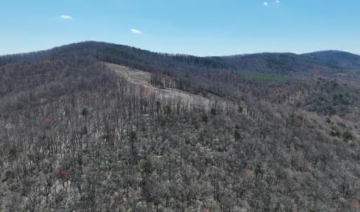 Photo #8 of Off of Blueberry Lane, Stuart, VA 48.1 acres