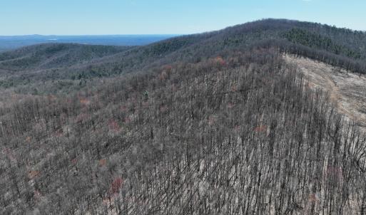 Photo #9 of Off of Blueberry Lane, Stuart, VA 48.1 acres
