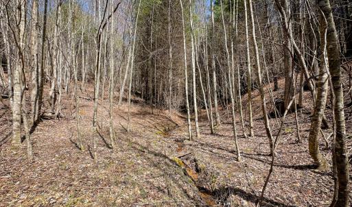 Photo #10 of Off of Willard Creek Lane, Stuart, VA 180.0 acres