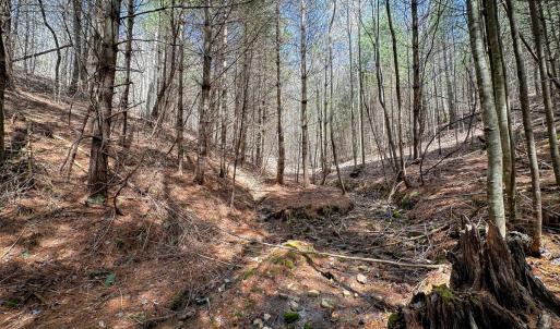 Photo #11 of Off of Willard Creek Lane, Stuart, VA 180.0 acres