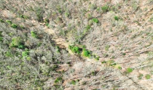 Photo #13 of Off of Willard Creek Lane, Stuart, VA 180.0 acres