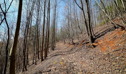 Photo #15 of Off of Willard Creek Lane, Stuart, VA 180.0 acres