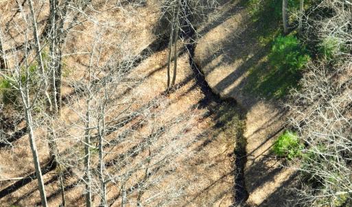 Photo #16 of Off of Willard Creek Lane, Stuart, VA 180.0 acres