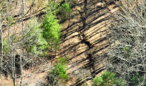 Photo #17 of Off of Willard Creek Lane, Stuart, VA 180.0 acres