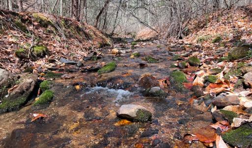 Photo #18 of Off of Willard Creek Lane, Stuart, VA 180.0 acres