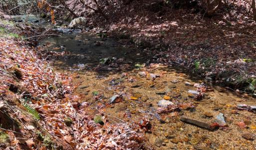 Photo #19 of Off of Willard Creek Lane, Stuart, VA 180.0 acres
