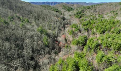 Photo #1 of Off of Willard Creek Lane, Stuart, VA 180.0 acres