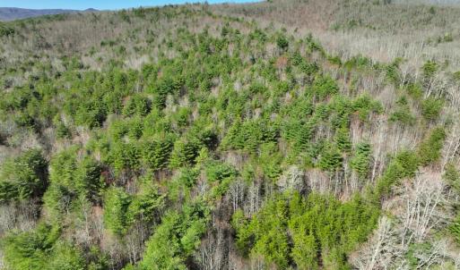 Photo #2 of Off of Willard Creek Lane, Stuart, VA 180.0 acres