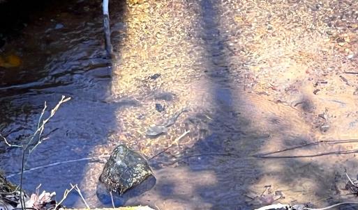 Photo #20 of Off of Willard Creek Lane, Stuart, VA 180.0 acres