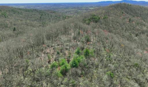 Photo #22 of Off of Willard Creek Lane, Stuart, VA 180.0 acres