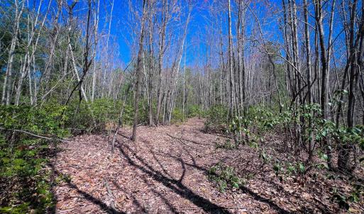 Photo #24 of Off of Willard Creek Lane, Stuart, VA 180.0 acres