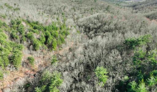 Photo #26 of Off of Willard Creek Lane, Stuart, VA 180.0 acres