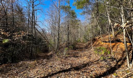 Photo #29 of Off of Willard Creek Lane, Stuart, VA 180.0 acres