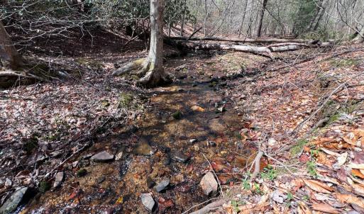 Photo #3 of Off of Willard Creek Lane, Stuart, VA 180.0 acres